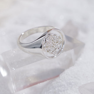 Dara Celtic Knot Signet Ring